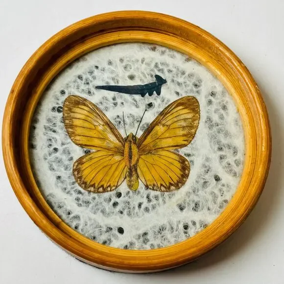 Set 6 Vintage Wood Coasters Pressed Butterflies 1970s Boho Wicker Rattan‎ - Picture 9 of 13